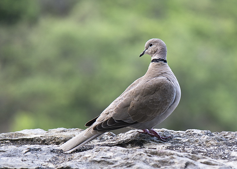 Provence 2014 +20140611_0599 als Smart-Objekt-1 Kopie.jpg